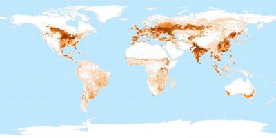 Croplands of the world