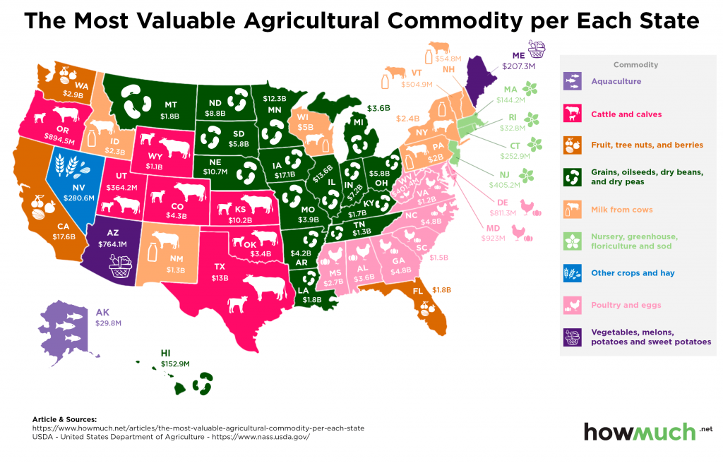 Map The Most Valuable Agricultural Commodity In Each State The Sounding Line