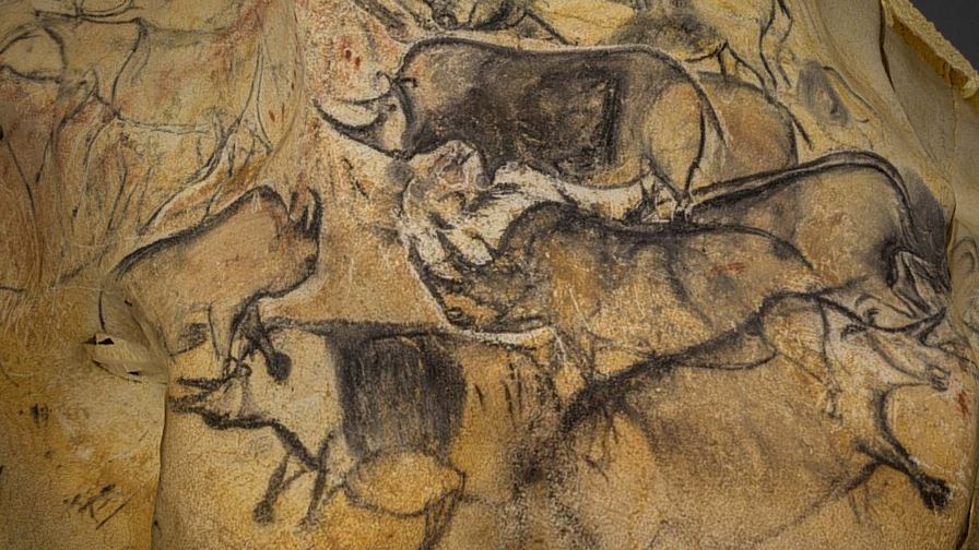 Chauvet Cave Lions Burned Leather Canvas Print