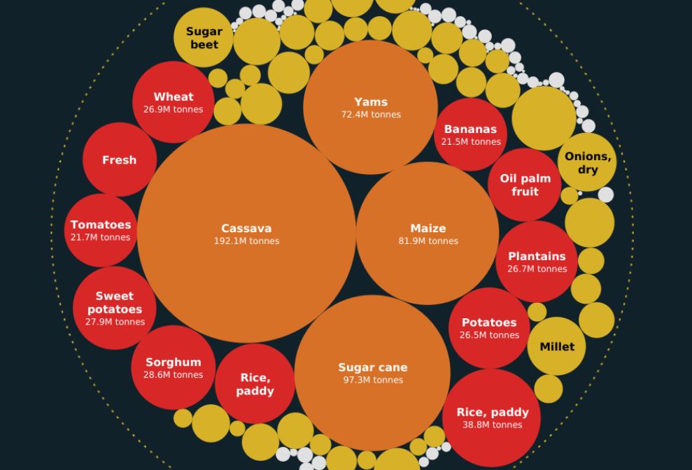 what-are-the-most-produced-cash-crops-in-africa-the-sounding-line